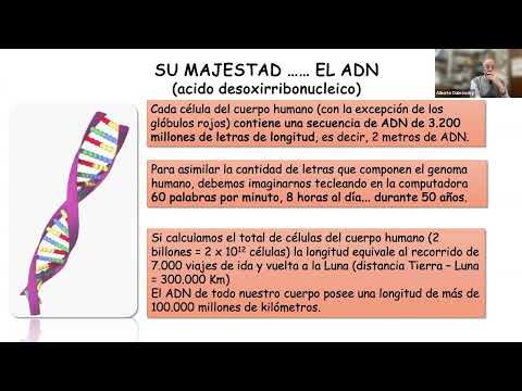 Alberto Dubrovsky-7