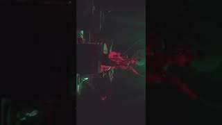 Together Pangea - Looked I’m Too - Live 2018