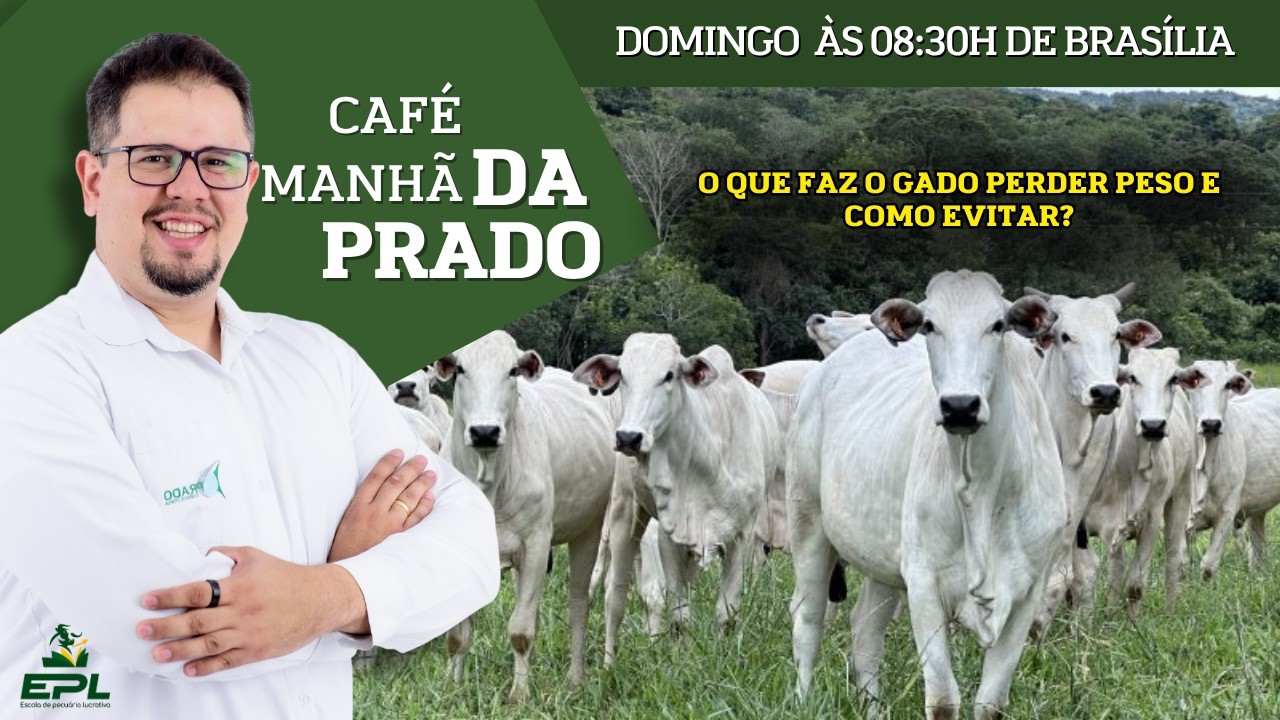 Neto Prado explicando como funciona a consultoria direta