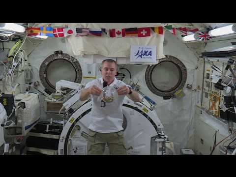 Expedition 55 Inflight Interview - Czech TV, April 9, 2018
