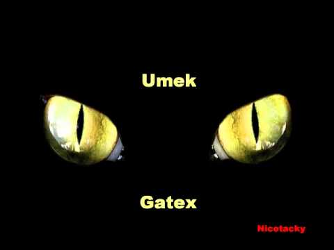 Umek - Gatex