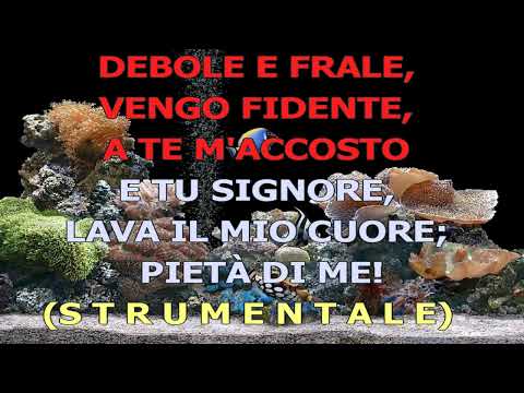 K - Così qual sono (Canto)