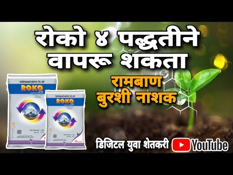 roko fungicide use in marathi रोको बुरशीनाशक #बुरशीनाशक  @digital_yuva_shetkari