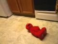 Tickle Me Elmo Really Is Awesome