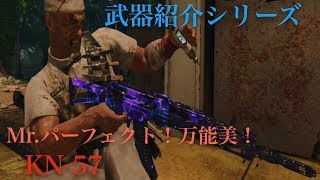 【CoD BO4】武器紹介シリーズ　Mr.パーフェクト！万能美！KN-57
