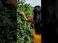 Eina Ngairi Cover Dance Bindiya