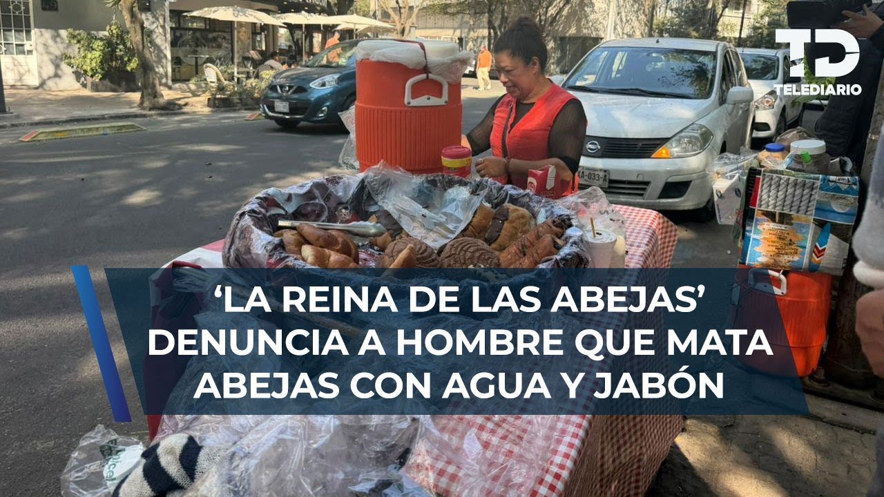 "Mataba a las abejas con jabón": denuncia mujer que cuida de ellas en la Condesa