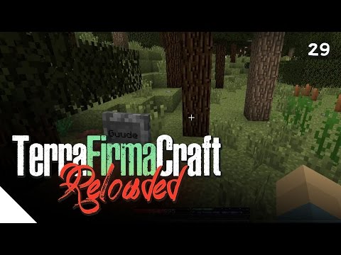 "Guude's Grave" :: TerraFirmaCraft Reloaded - Episode 29