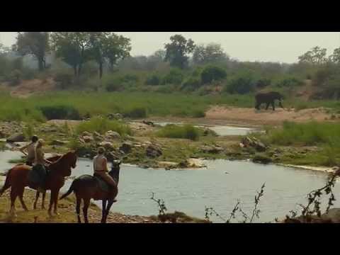 Out In Africa Encounters - Horse Safaris