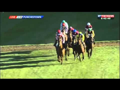 Zabana - Growise Champion Novice Chase (Grade 1) - 2016