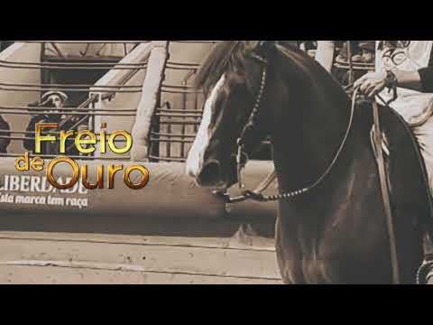 Freio de Ouro ( momentos)