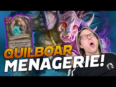 NEW HERO! Playing A New Menagerie Comp w/ Quilboars! | Hearthstone Battlegrounds | Savjz