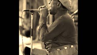 Sonny Terry-Crow Jane Blues