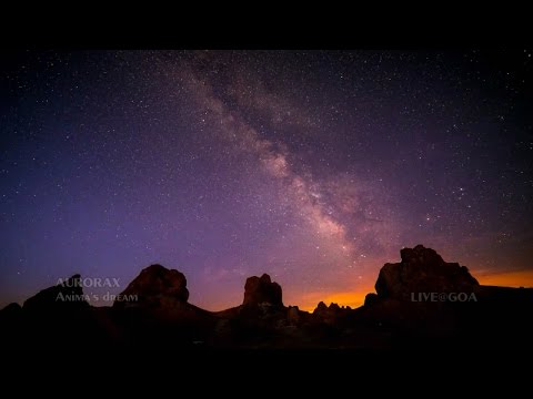 AURORAX - Anima's dream