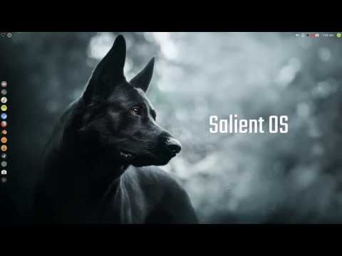 GNU/Linux OS - Salient OS ISO Refresh v2019.2