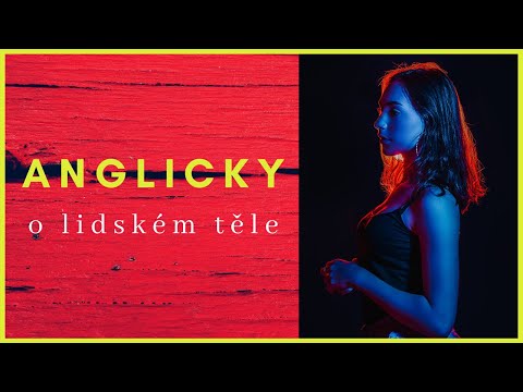 Angličtina - mluvené fráze na poslech - pro začátečniky - téma lidské tělo (s testem)