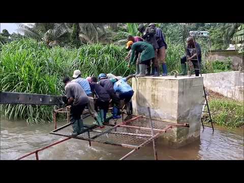 Phase 2: Bridge Construction