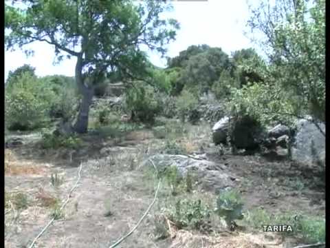 THE LAST HERMIT OF TARIFA