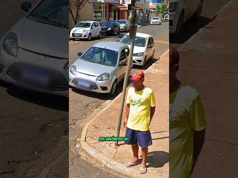 Monte Aprazível, SP.