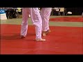 Judobroers Van Mourik naar Polen