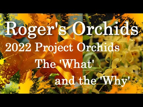 2022 Project Orchids - The 'What' and the 'Why'
