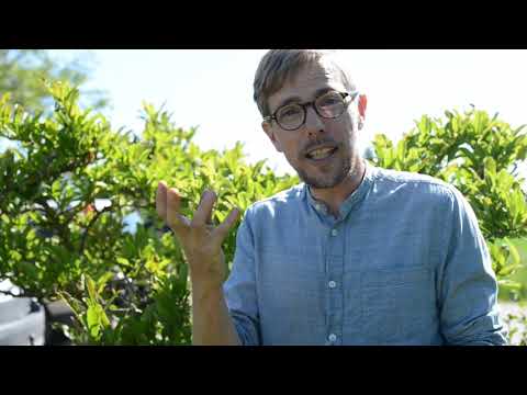 Rundvandring i Anders Stålhands vårträdgård