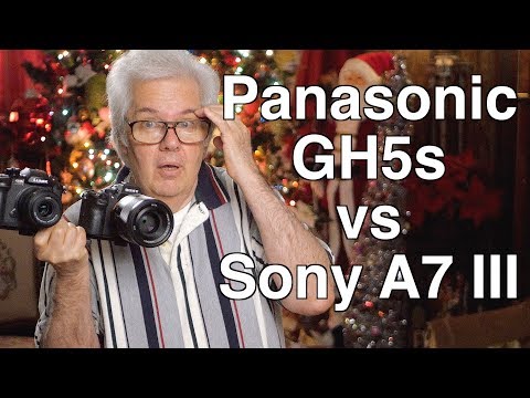 Panasonic GH5s versus Sony A7 III