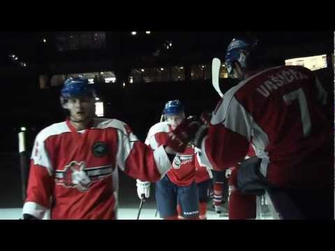 HC ČSOB Pardubice - Brynäs IF 6:2