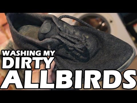washing my allbirds