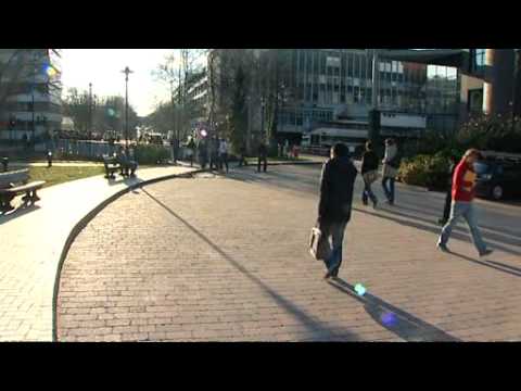 A level results - advice from NUS