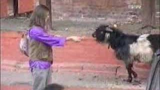 Аквариум - Стерегущий баржу