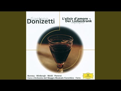 Donizetti: L'elisir d'amore / Act 1 - "Esulti pur la barbara"