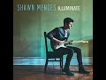 Shawn Mendes - Mercy (Official Instrumental + Backing vocals)