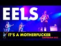 EELS  - It's A Motherfucker (Live in Amsterdam 2023) 4K