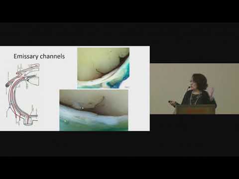 One Retinoblastoma World 2017: High Risk Pathology