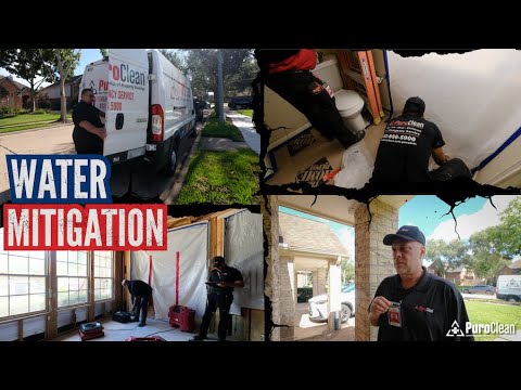 The Water Damage Mitigation Process Step by Step by PuroClean