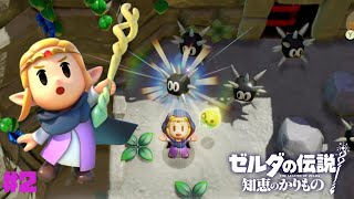 【知恵かり】魔物もお借り！？ハイラル城から脱出して、知恵とカリモノの旅へ！ #2【ゼルダの伝説知恵のかりもの】
