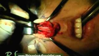 NassifMD Plastic Surgery
