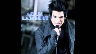 Adam Lambert   Just the Way It Is