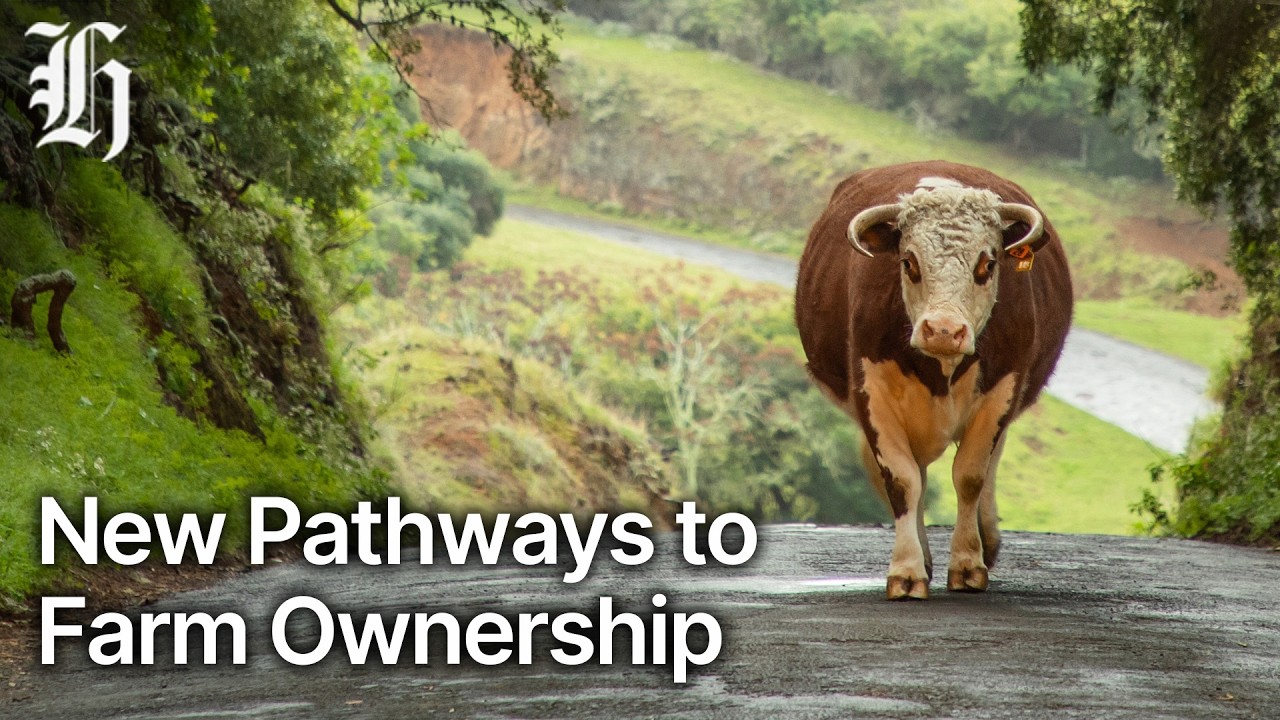 Mahiwi farm equity partnership announced | Herald NOW Business