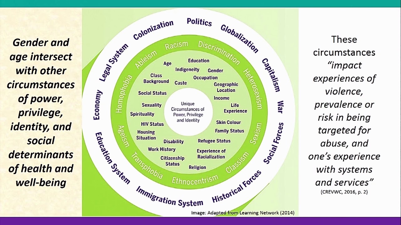 Primer on Intersectionality for Learning Modules
