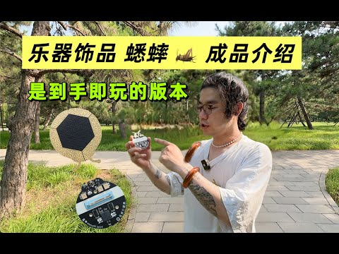 Meng Qi Cricket Solar-Powered Musical Jewellery Noise Emitting Device image 3