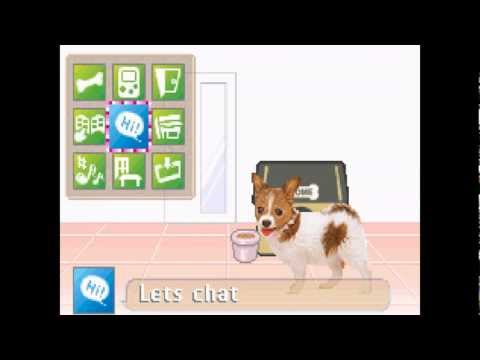 pocket dogs gba cheats