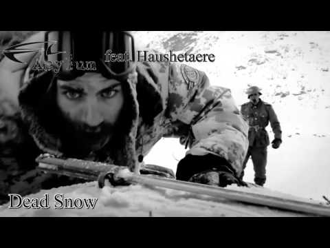 HausHetaere feat. Acylum - Dead Snow