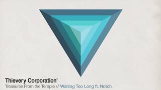 Thievery Corporation - Waiting Too Long [Official Audio]