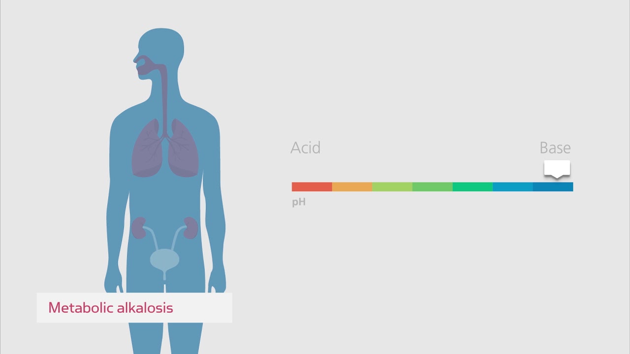Cómo entender el equilibrio ácido-base