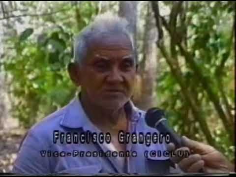 O Feitio Do Santo Daime, por Francisco Grangeiro.