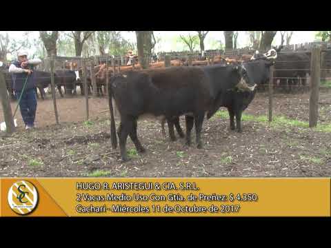 11-10-17 Venta de Vientres - Hugo R. Aristegui - Cacharí