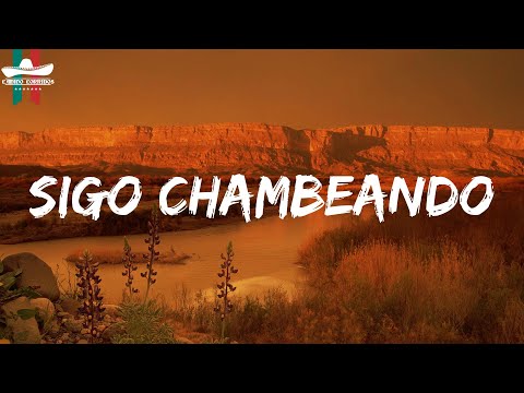 Fuerza Regida (Letra) - Sigo Chambeando