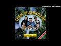 Them Mushrooms Nimfuge Ndege Gani